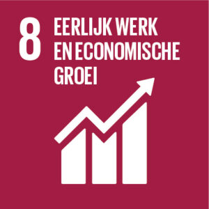 8. Decent work and economic growth.